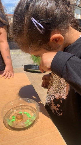 Outdoor Education